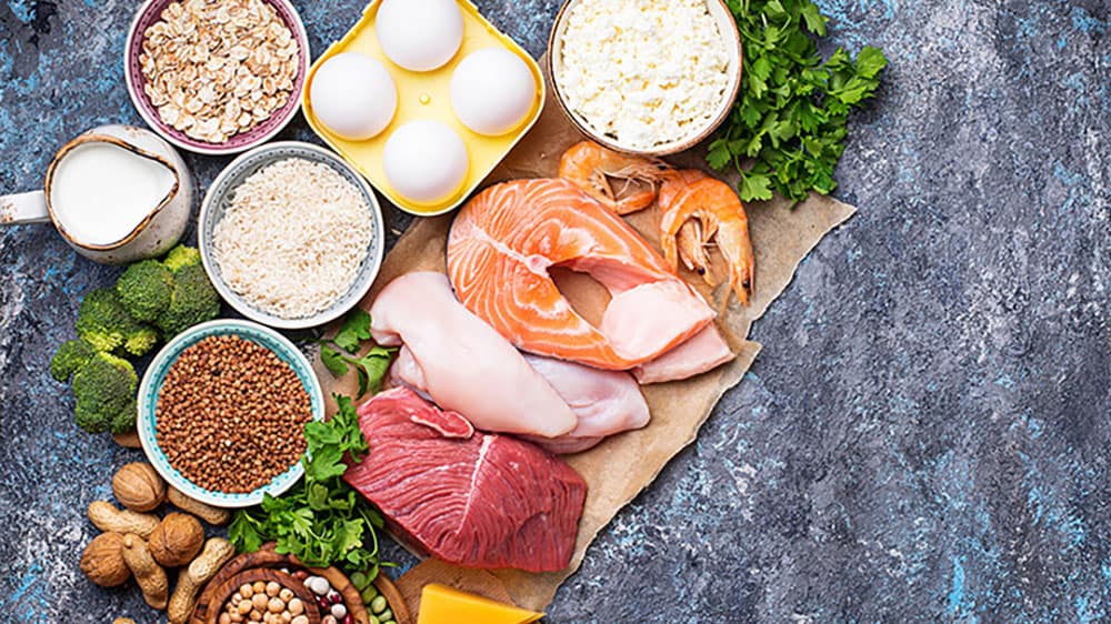 protein foods